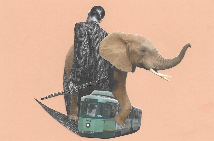  Il racconto della domenica: L’elefante di Edoardo Poeta