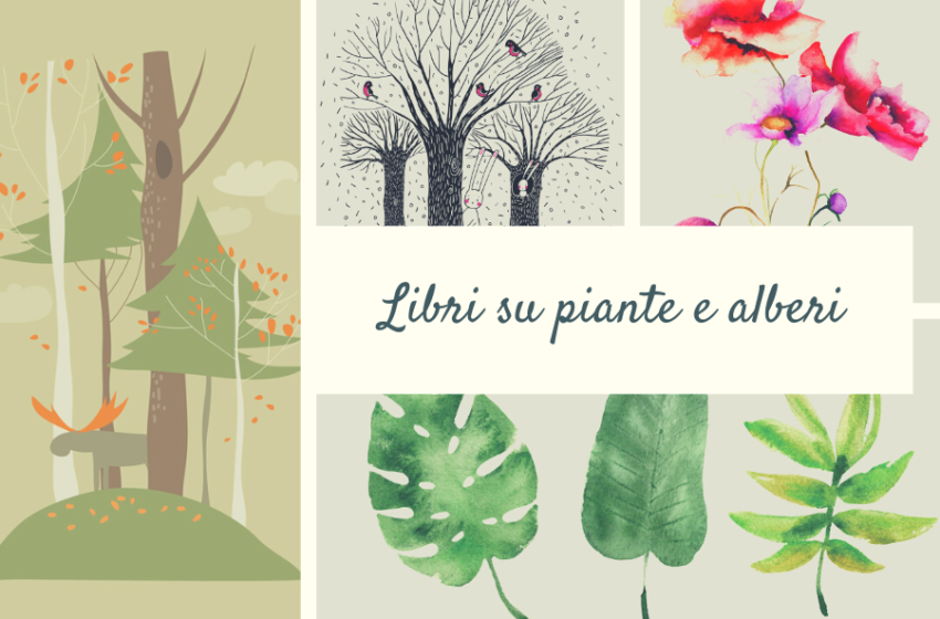  Libri su piante e alberi: dai romanzi ai saggi, i nostri consigli di lettura