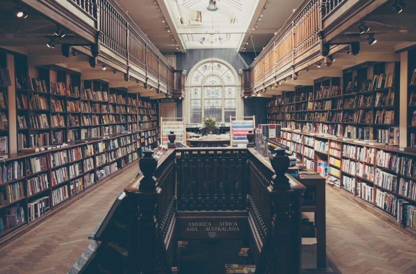  Le 10 librerie più stravaganti del mondo