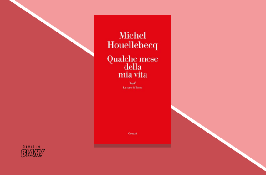  Qualche mese della mia vita di Michel Houellebecq: il rapporto dello scrittore francese con il sesso e il cinema, dopo il video porno
